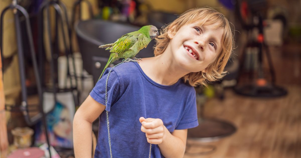 Do Parrots Miss Us When We Leave the House? Exploring the Emotional